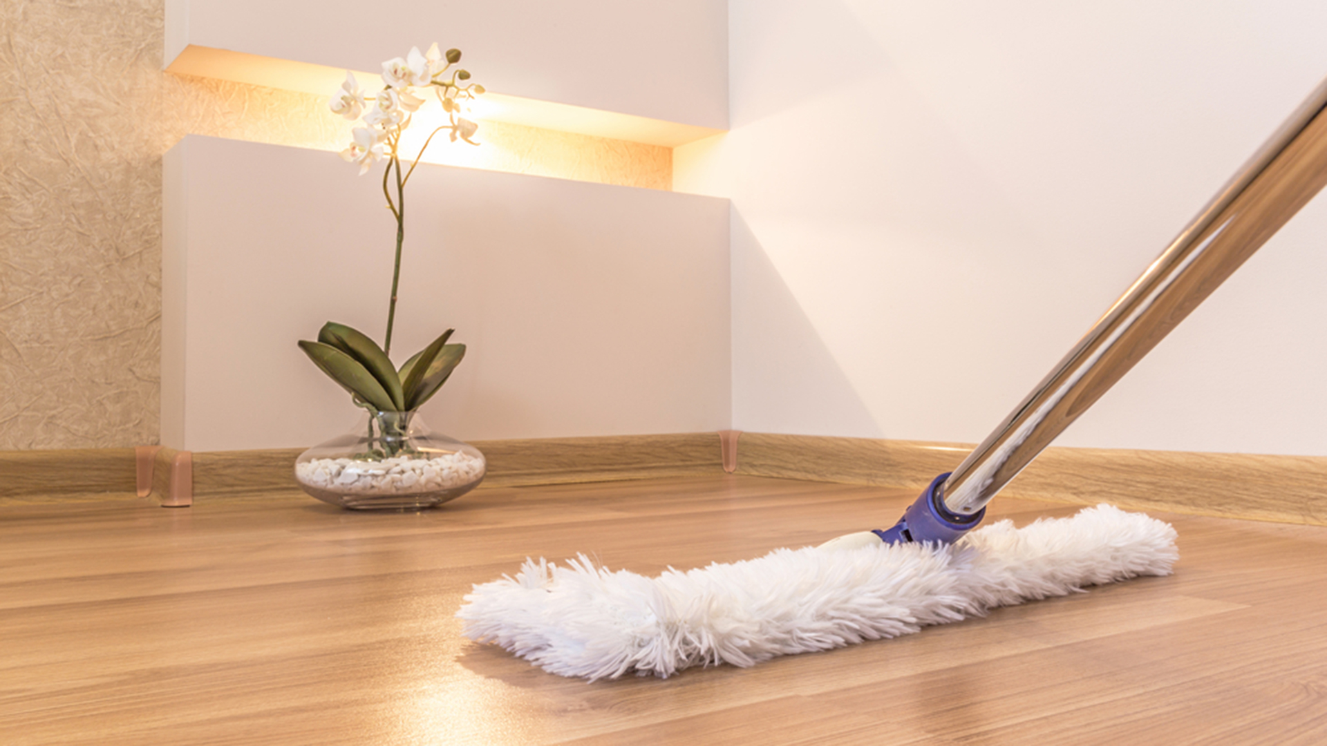 hardwood floor cleaning service