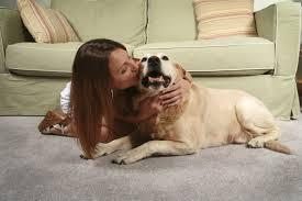 Woman kissing her dog on freshly cleaned carpet