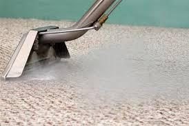 Steam cleaner head releasing steam on a carpet being cleaned by Peace Frog Specialty Cleaning in Austin