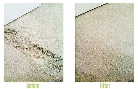 Carpet Repair - Before and After Shot