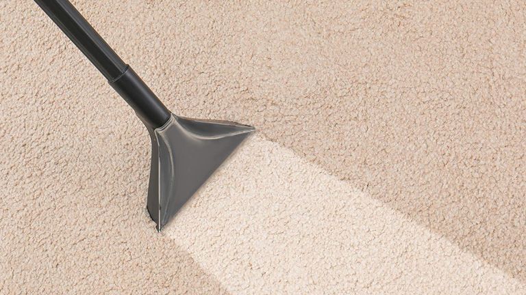 Best Carpet Cleaner