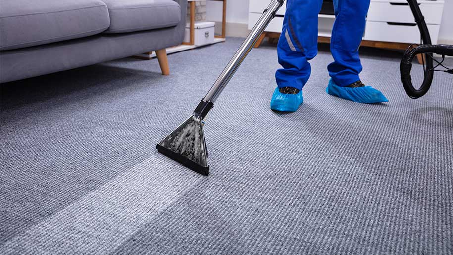 Steam Carpet Cleaning