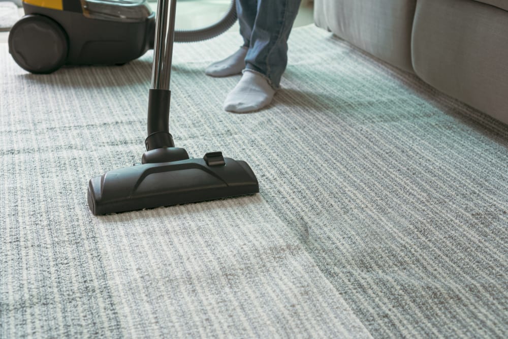 Antioch Area Rug Cleaning Services Near Me