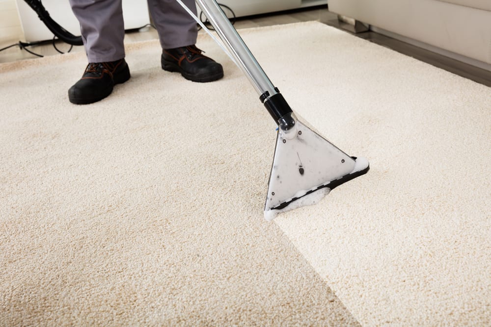 Austin carpet cleaning