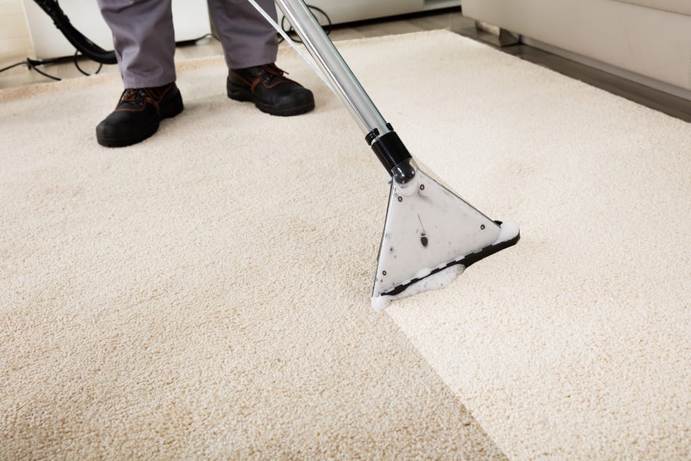 Lago Vista, TX Area Rug Cleaning Benefits - Peace Frog Specialty Cleaning, Carpet  Cleaning Near Me