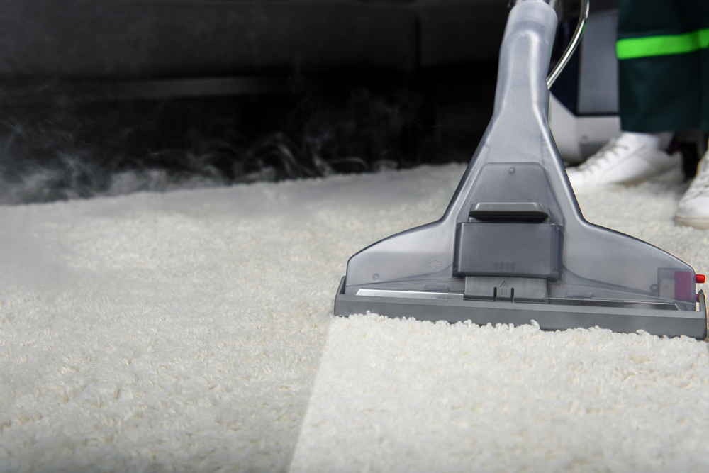 5 Ways Peace Frog Offers the Best Carpet Cleaning in Town