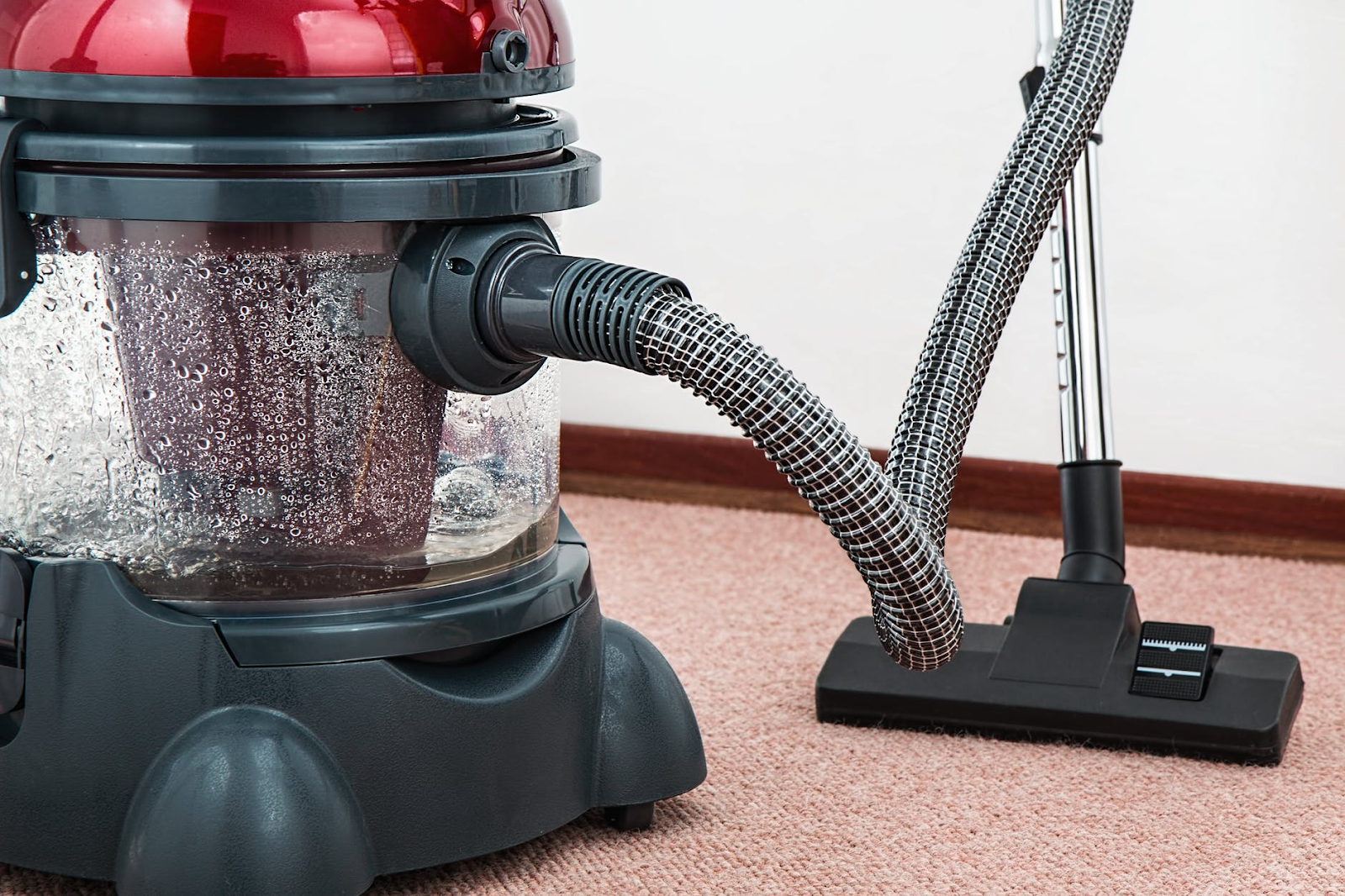 5 Reason Why You Should Have Regular Carpet Cleaning