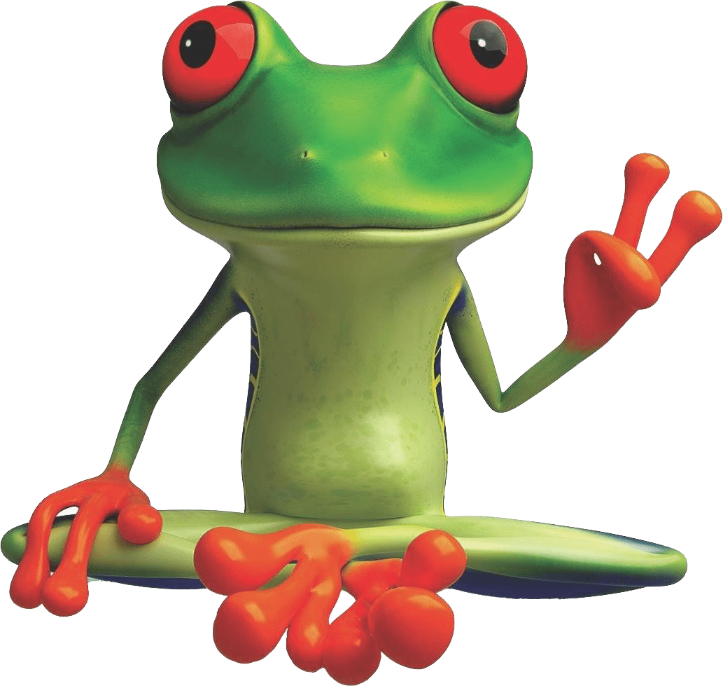 peacefrog cleaning austin