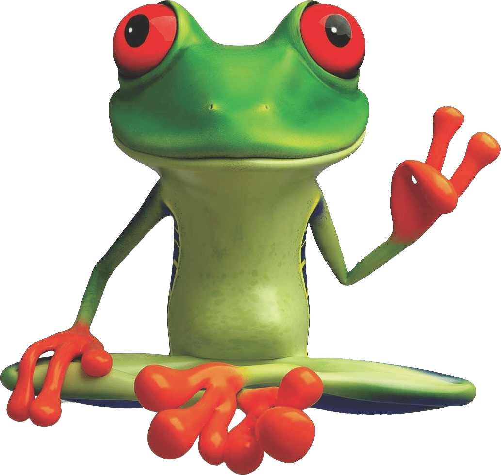 peacefrog cleaning frog austin