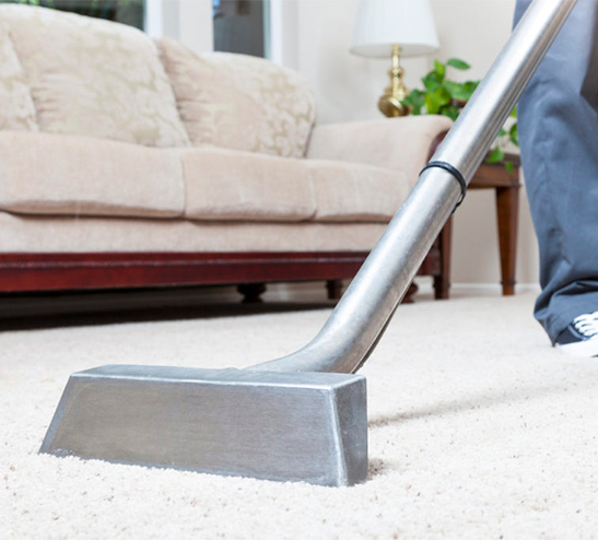 carpet cleaning pros
