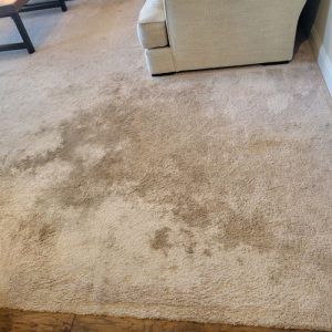 stained carpet before cleaning