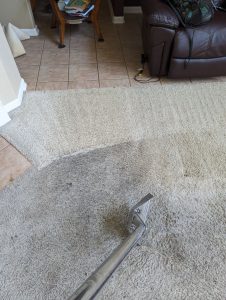 before after carpet