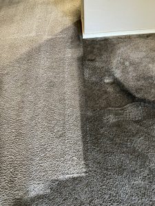 stained carpet before after2