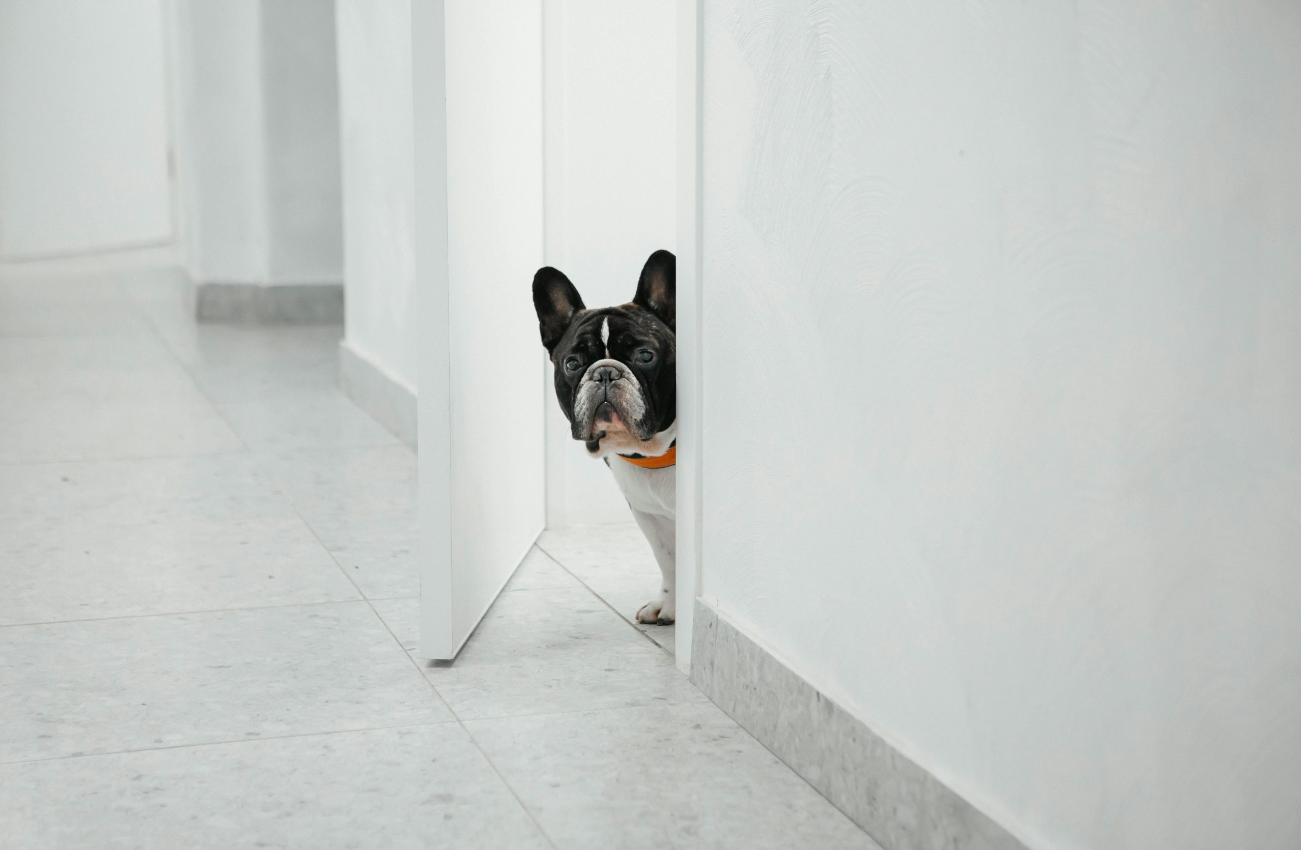 how to keep grout clean